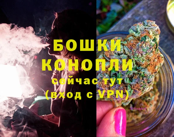mdpv Няндома