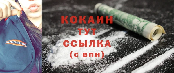 дживик Новозыбков